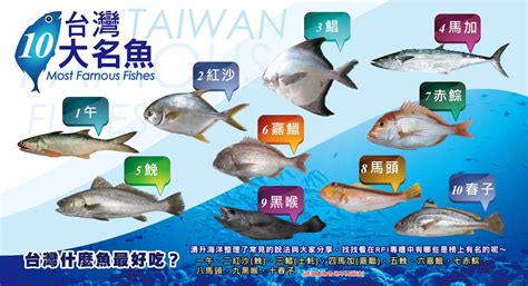 台灣魚排名|書摘精選》台灣好魚排行榜